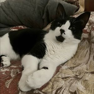 Meet your Posher, Angela